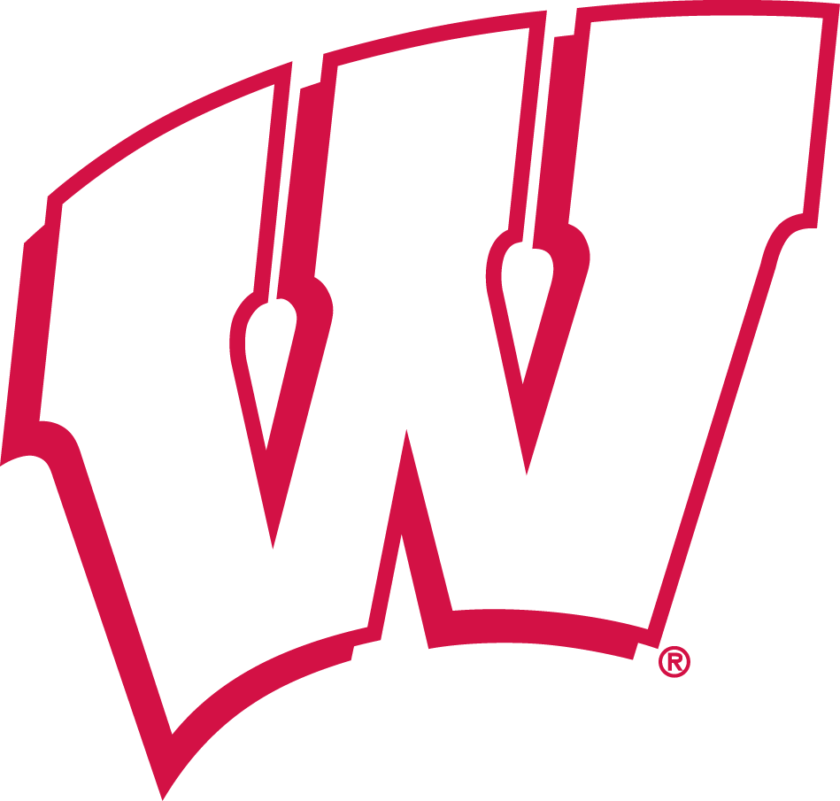 Wisconsin Badgers 1991-2017 Alternate Logo diy iron on heat transfer